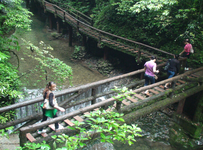 PG电子员工登山游玩